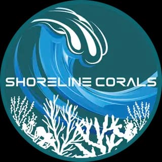 Shoreline Corals