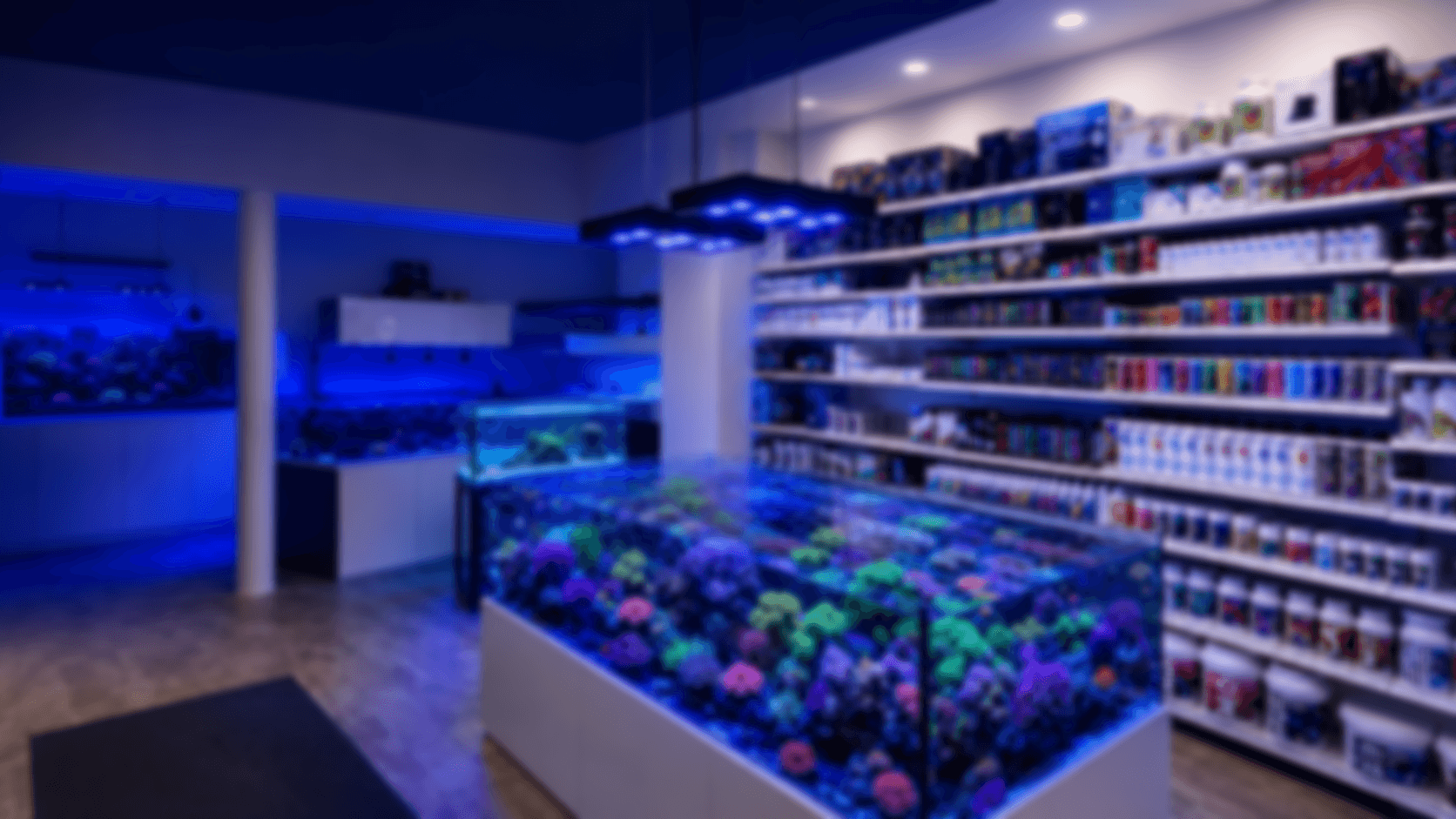 Calgary's reef and aquarium store