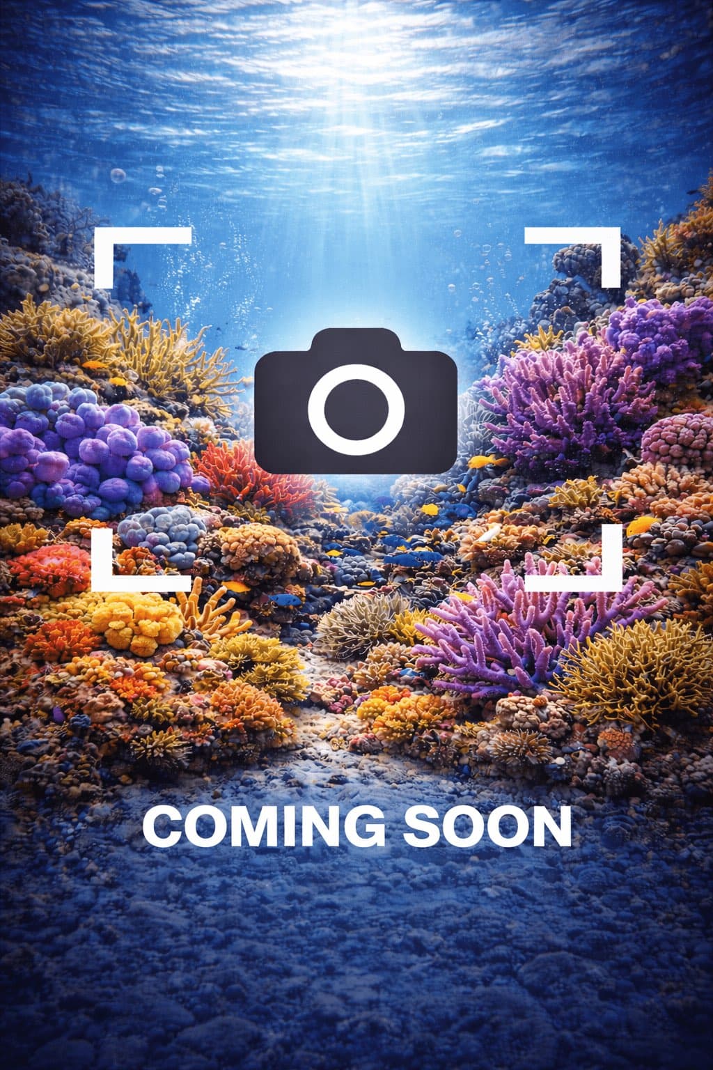 Neon Green Torch Coral