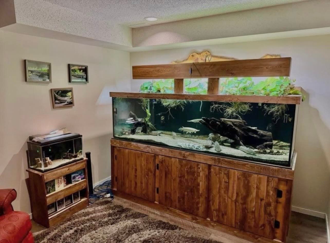 A large freshwater aquarium with an upper planted section built into wood cabinetry in a home