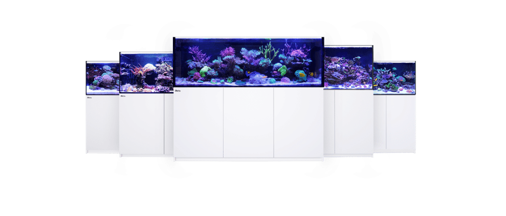 Experience Red Sea G2 | Limited Time: 15% In-Store Credit + Complimentary Home Delivery. Only At Concept Aquariums