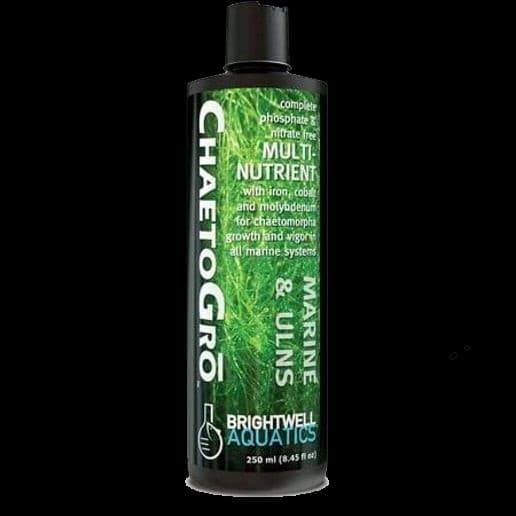 Brightwell Aquatics Chaeto Gro